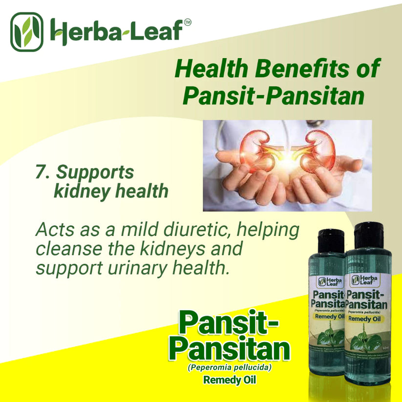 Pansit-Pansitan Herbal Remedy Oil for Gout, Arthritis & Muscle Pain
