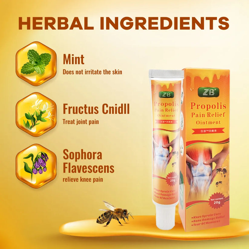 ZB Propolis Pain Relief Ointment