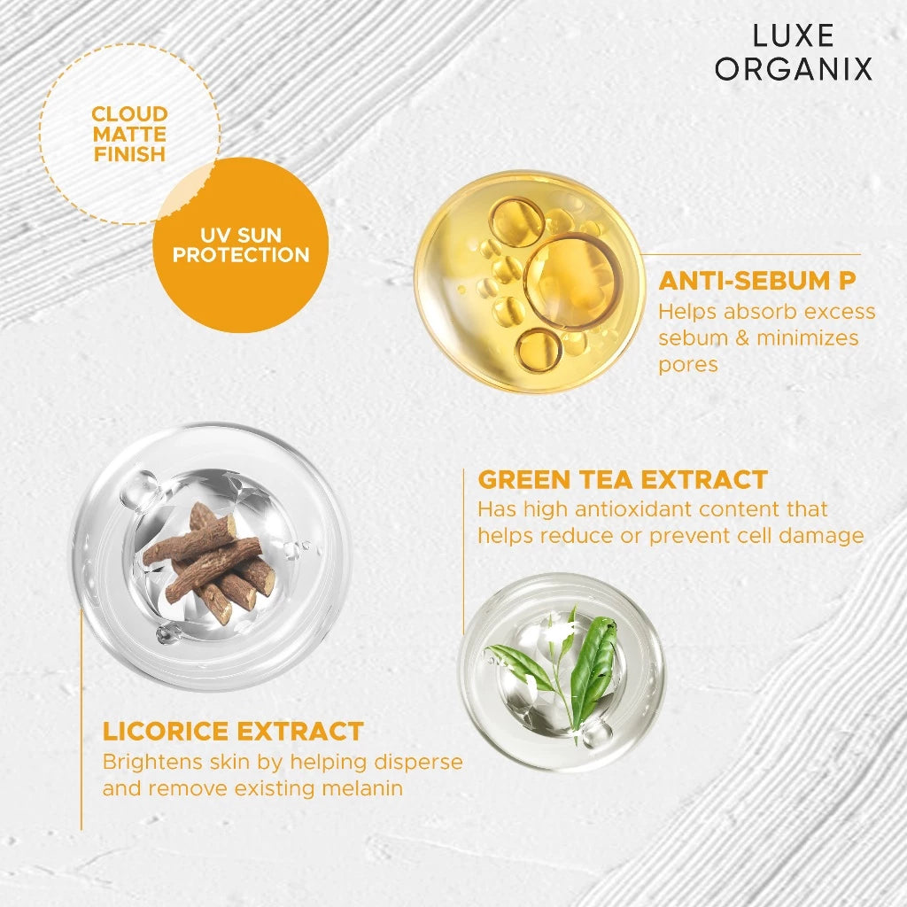 LUXE ORGANIX Zero Shine Invisible Screen Daily Sun Stick SPF 100 17g