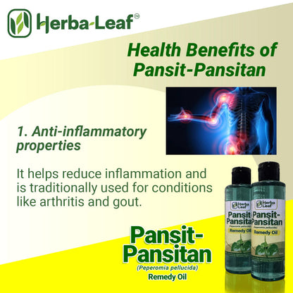 Pansit-Pansitan Herbal Remedy Oil for Gout, Arthritis & Muscle Pain