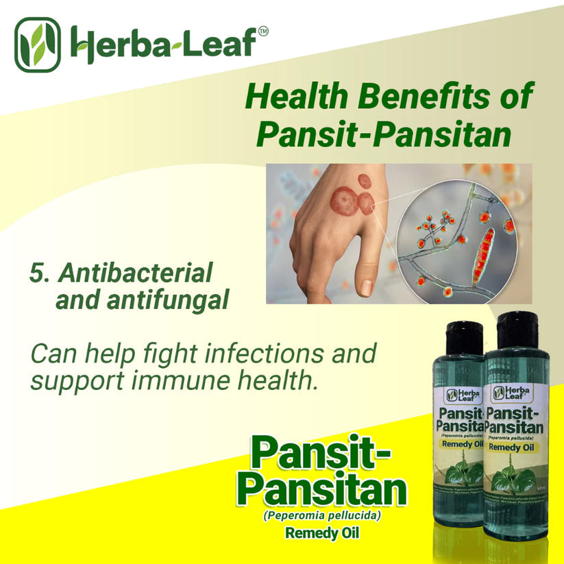 Pansit-Pansitan Herbal Remedy Oil for Gout, Arthritis & Muscle Pain