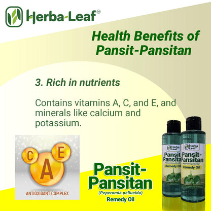 Pansit-Pansitan Herbal Remedy Oil for Gout, Arthritis & Muscle Pain