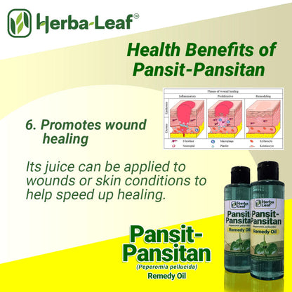 Pansit-Pansitan Herbal Remedy Oil for Gout, Arthritis & Muscle Pain