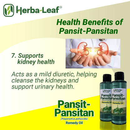 Pansit-Pansitan Herbal Remedy Oil for Gout, Arthritis & Muscle Pain