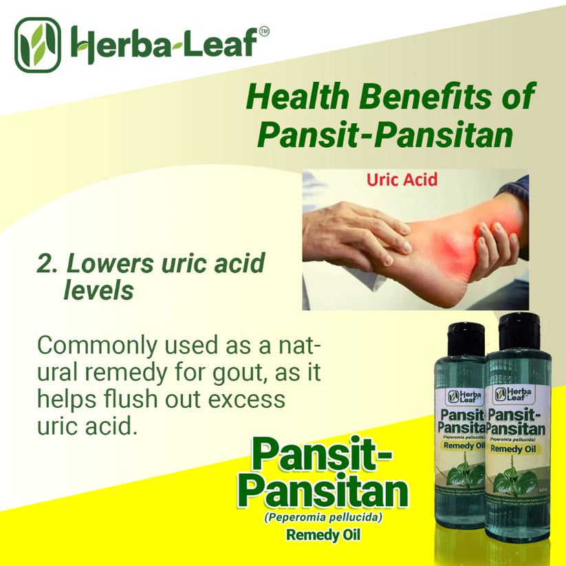 Pansit-Pansitan Herbal Remedy Oil for Gout, Arthritis & Muscle Pain
