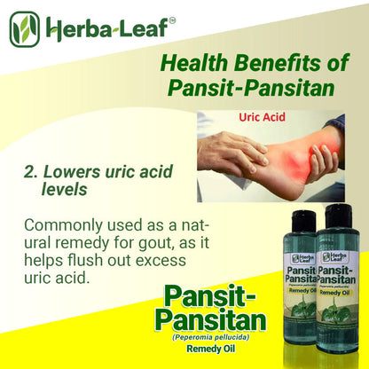 Pansit-Pansitan Herbal Remedy Oil for Gout, Arthritis & Muscle Pain