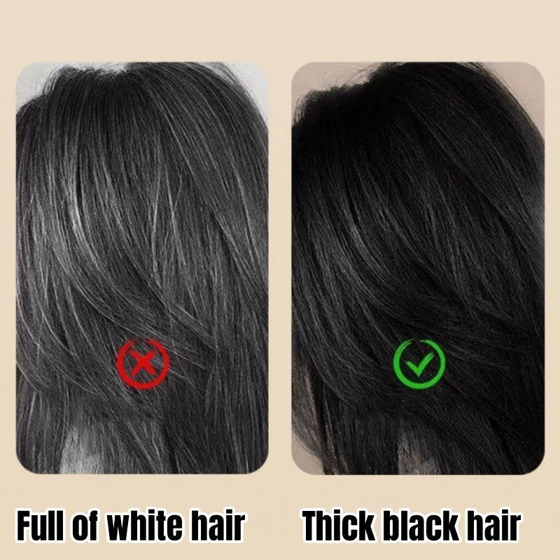 GINBI Hair Dye Comb