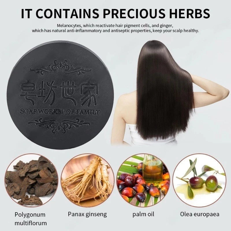 Polygonum Multiflorum for Repair & Natural Black Hair Shampoo Bar
