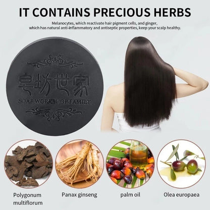 Polygonum Multiflorum for Repair & Natural Black Hair Shampoo Bar