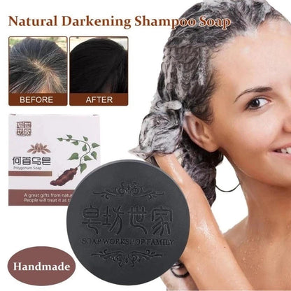 Polygonum Multiflorum for Repair & Natural Black Hair Shampoo Bar