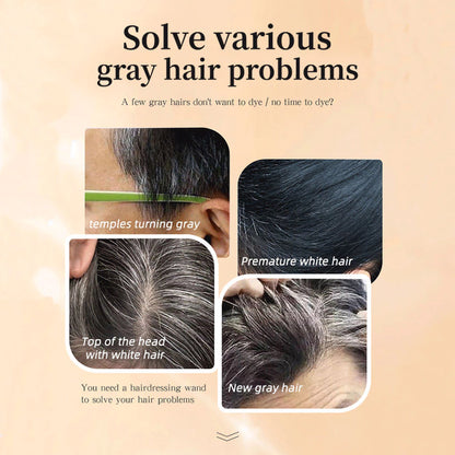 TEN TWENTY Plant-Based Aromatic convenient Hair Dye Comb